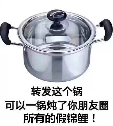 18年的锦鲤活动有哪些,锦鲤的活动在哪里