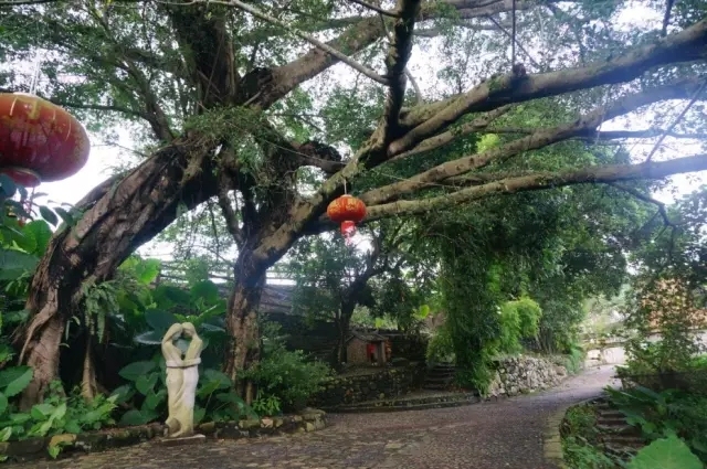 漳州周边自驾游乡村小众休闲游,漳州景美人少的小众旅行