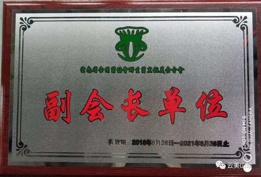 四季山珍专营云南野生菌,云南山珍野菌一手货源