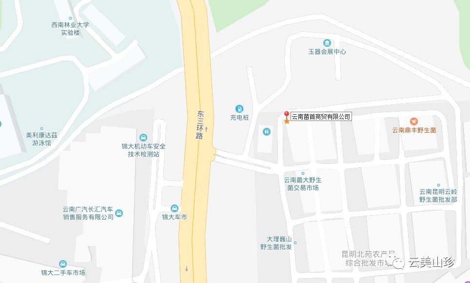 四季山珍专营云南野生菌,云南山珍野菌一手货源