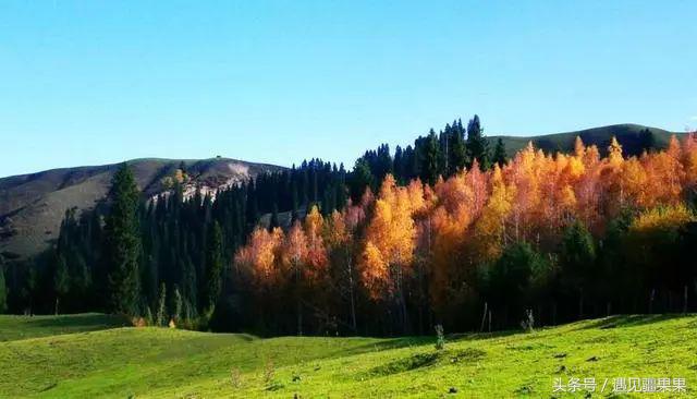 伊犁最美旅游风景区,伊犁旅游攻略探索最美风光