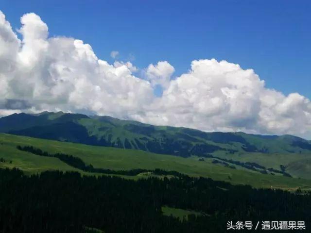 伊犁最美旅游风景区,伊犁旅游攻略探索最美风光