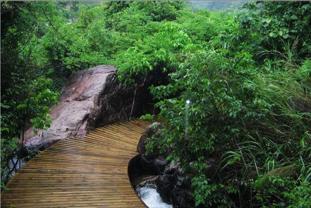 增城白水寨登山攻略,增城白水寨瀑布每天都能够看吗