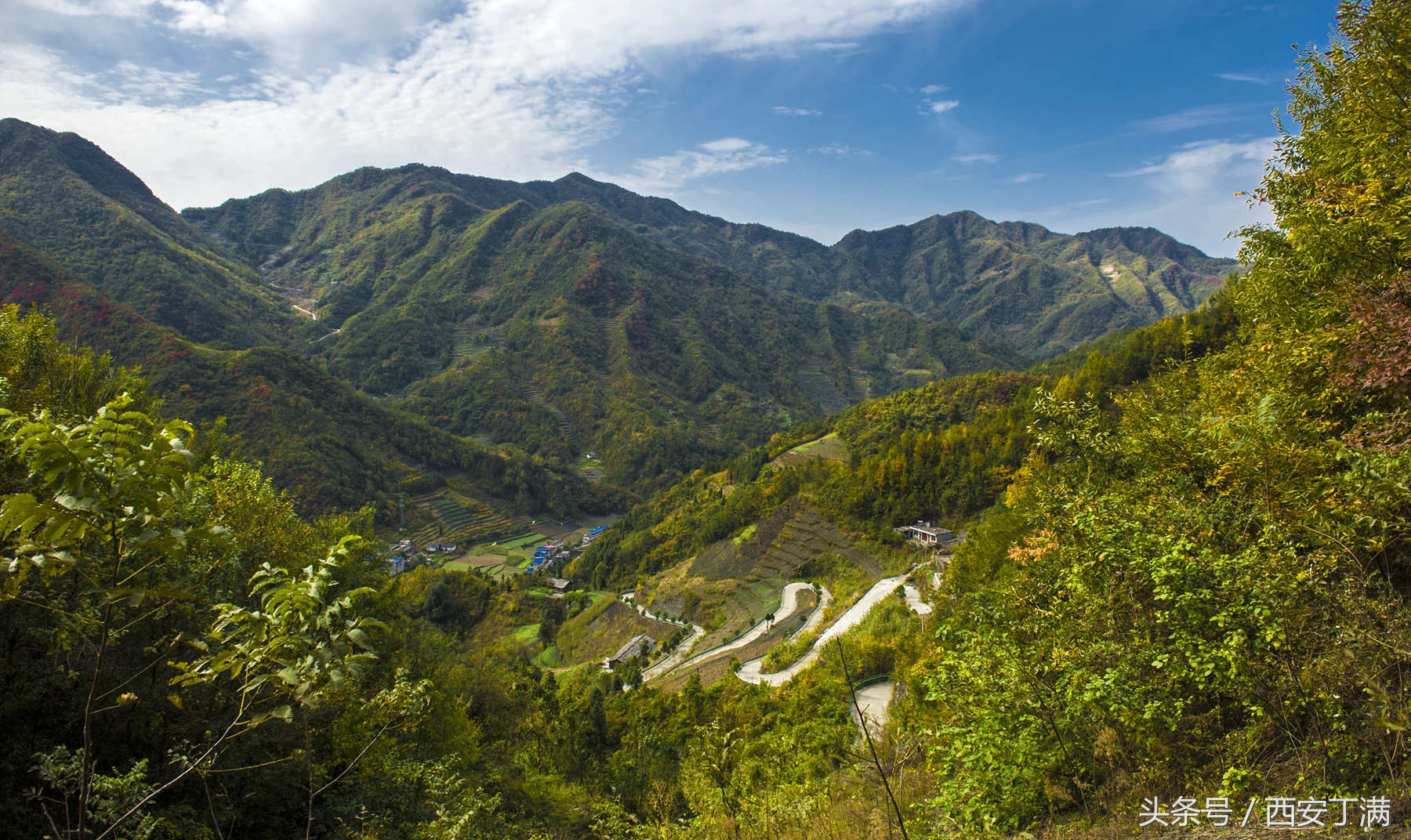白河东坡千年银杏,白河县构扒镇千年银杏
