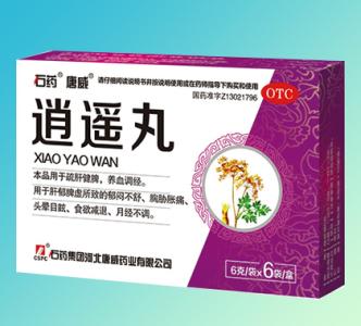 有什么药能够辅助减肥,中医减肥中成药