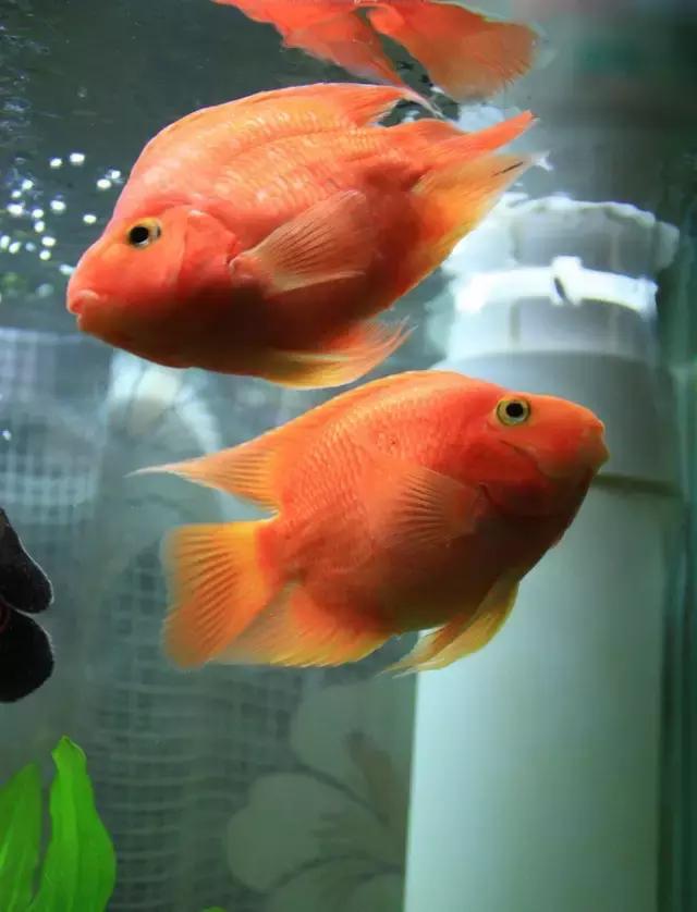 风水名师讲风水,与不信风水的人讲风水