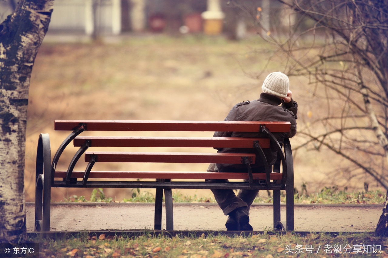 七上语文各课字词,七上语文字词填空版