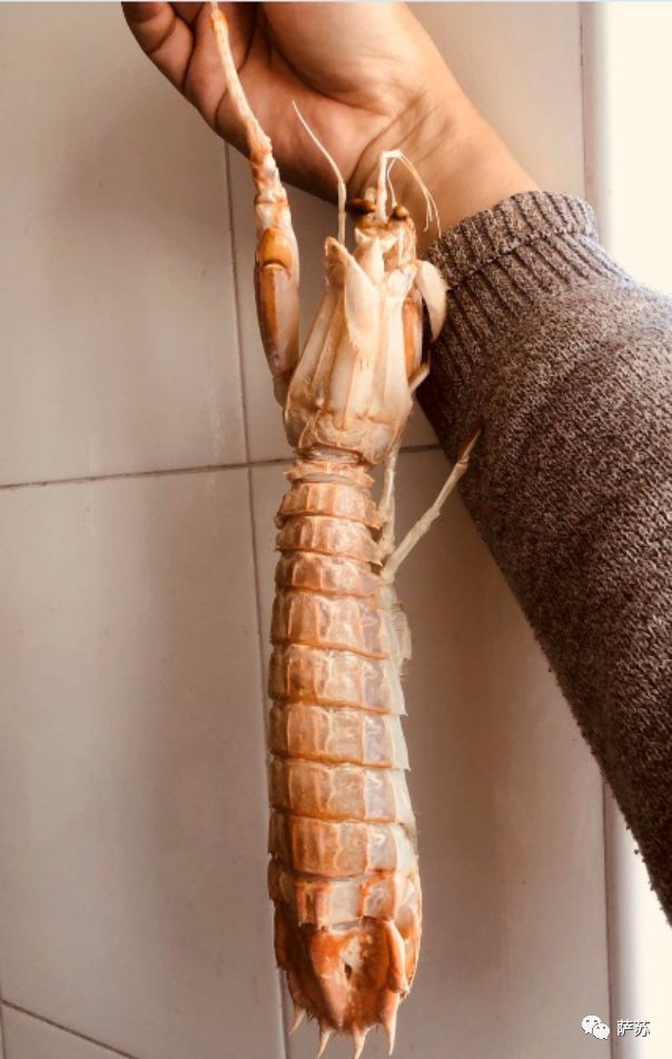 两只虾做三道菜,两只虾做三道菜一汤