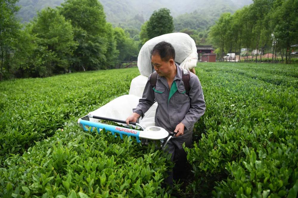 甘肃为何沧桑,甘肃为啥有种苍凉感