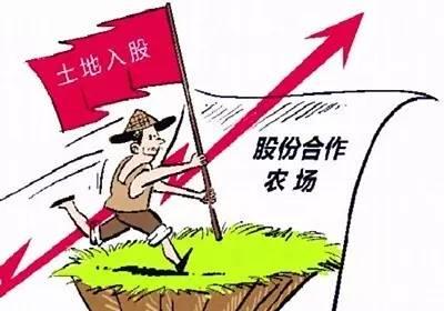 土地投资入股模式,土地入股如何算股份