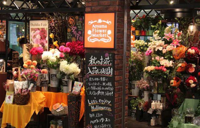 花店合适的特色名字有哪些,好听有意义的花店名字大全