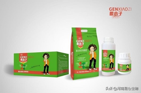 辣椒苗烂叶是什么原因？辣椒黄叶病怎么治？辣椒增产水溶肥