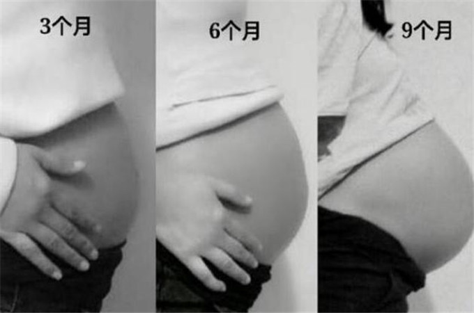 一张图告诉你怀孕哪里疼,怀孕1到10个月对比照
