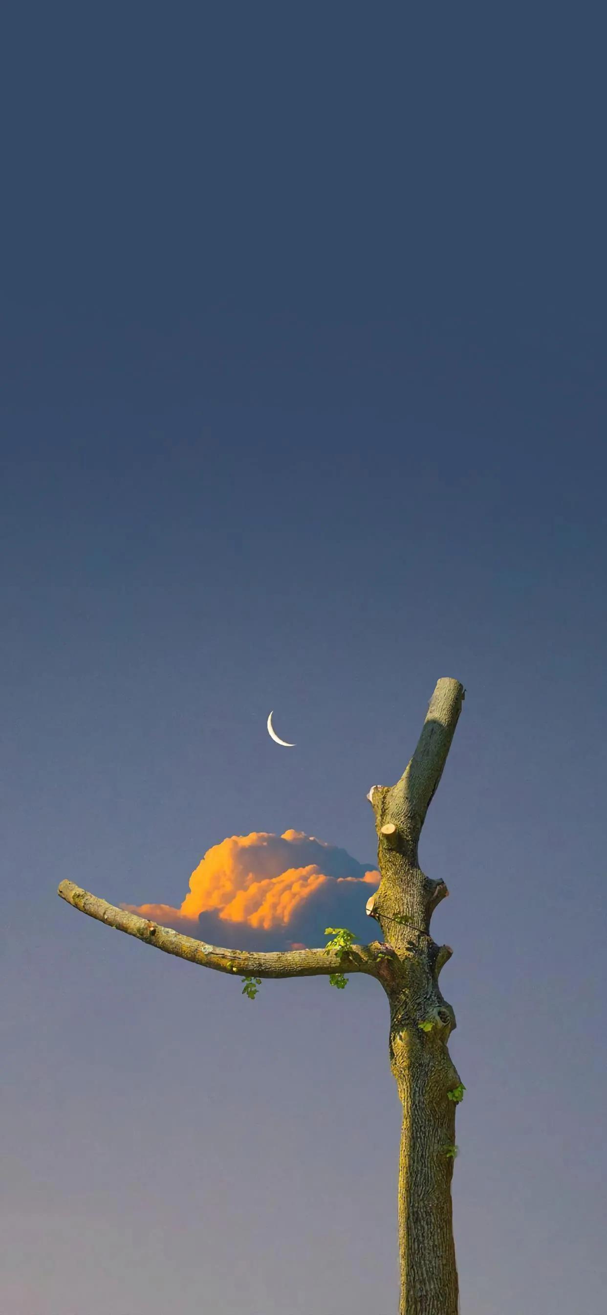 让人很惊艳的微信壁纸,2021独一无二微信背景高清壁纸