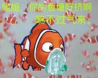 朋友圈拉黑和屏蔽的区别,为什么要屏蔽亲人的朋友圈