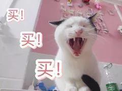 深圳一师奶总结了香港扫年货攻略，超实用