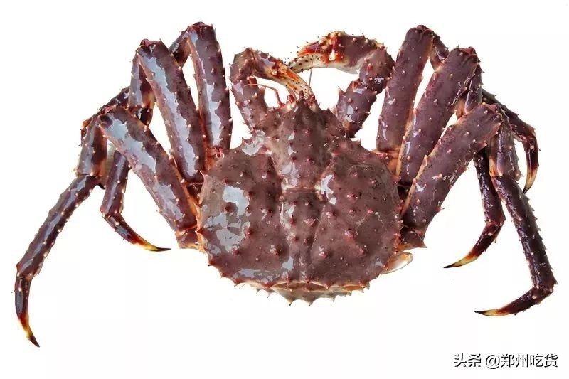 188元/条！吃养颜旺财老虎斑，就来肥隆“食斑节”