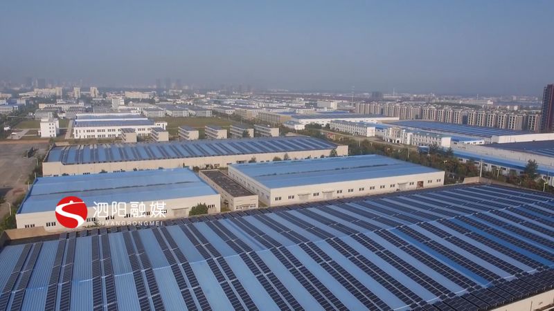 泗阳工业产业园,泗阳支柱产业园