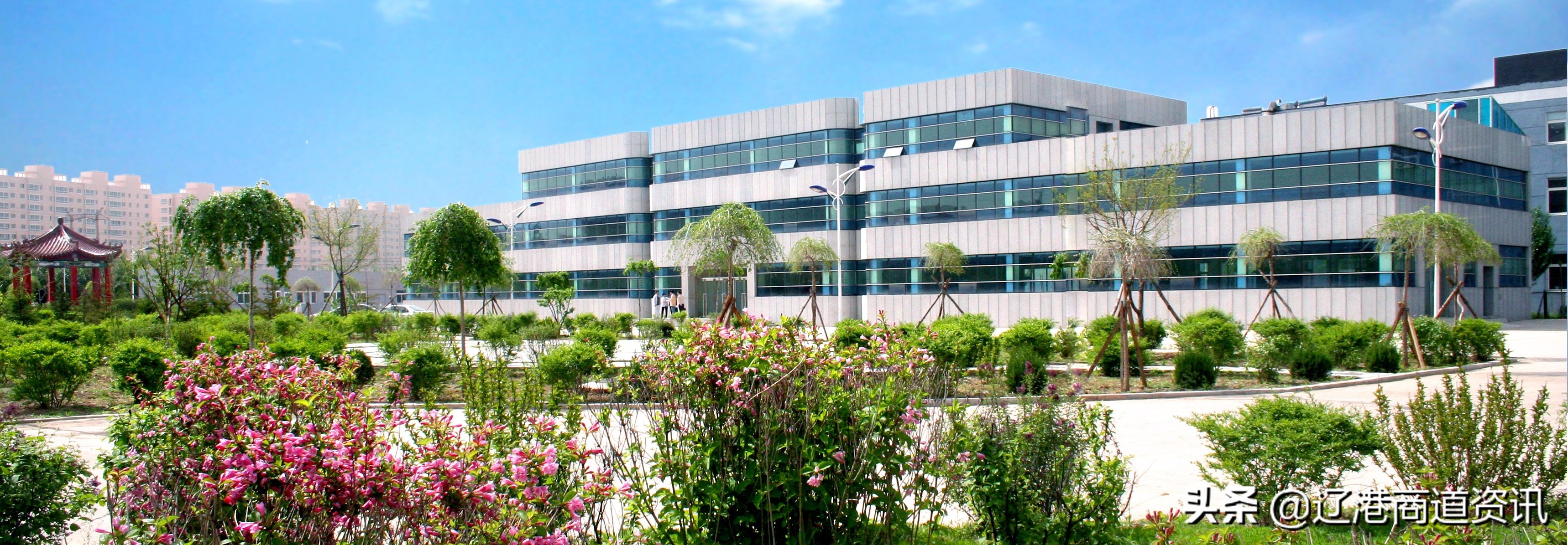 束波刀治乳腺癌多少钱,沈阳束波刀能够治疗肺癌么