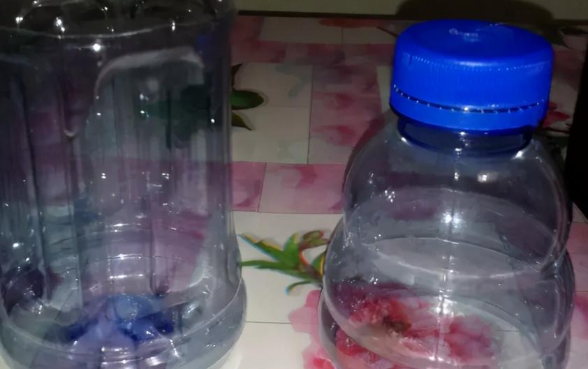 塑料瓶养花的正确方法,合适养花的塑料瓶