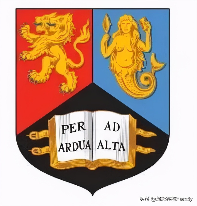 英国金史密斯学校怎么样,英国金史密斯学院纯艺术