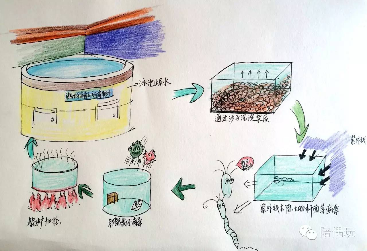 发现武汉6家尖板眼的婴幼游泳馆（内含水质测评）