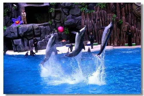 广州长隆珠海3天2夜亲子游攻略,带孩子去珠海长隆玩一天够吗