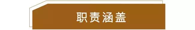 discovery招聘,discover招聘
