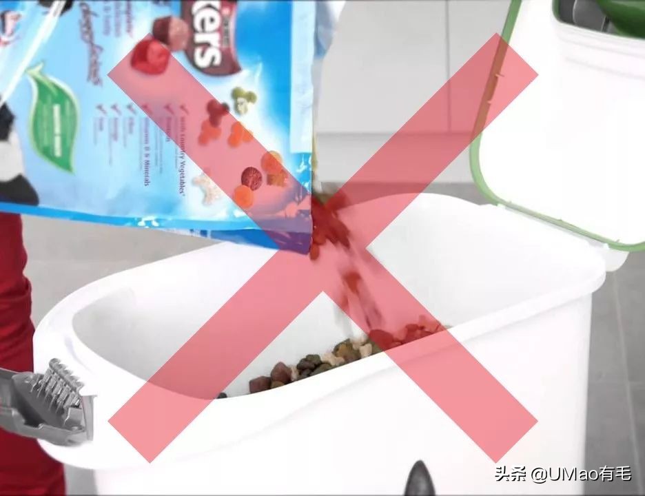 猫粮黄曲霉素中毒,猫吃了毒猫粮慢性中毒