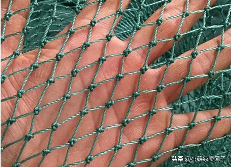 养殖网用塑料好还是铁网好,尼龙网和铁丝网哪个合适家庭养殖