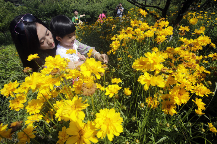 五一自驾游推荐景点武汉,武汉合适周末出游的地方
