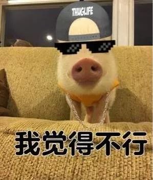 宠物洁齿水和宠物漱口水的区别,猫狗宠物通用漱口水