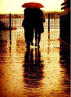 你是会选择错过车还是坐错车,感情里坐错车和错过车哪个很惋惜