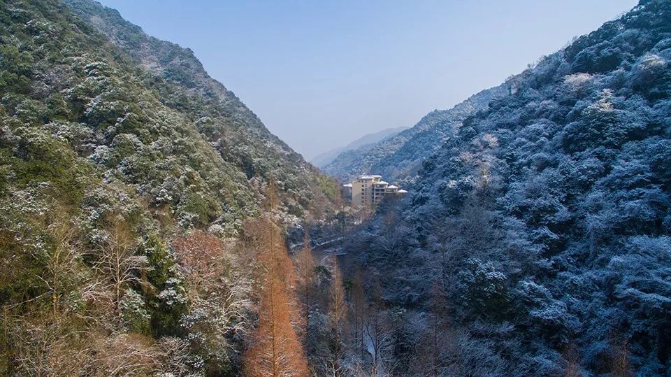 没有孵过混堂的上海冬天，是不完全的