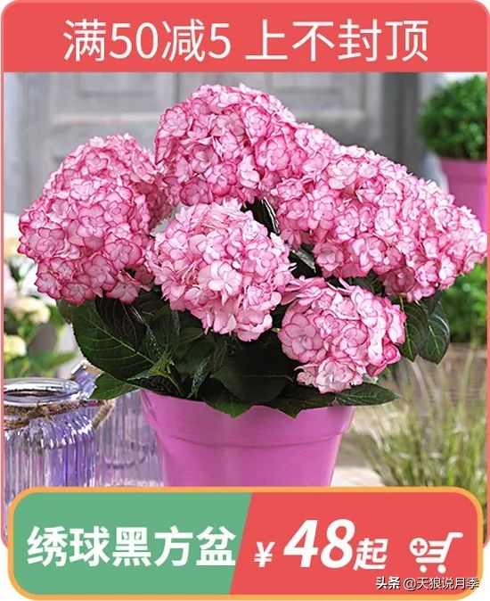 开新店买一送一活动,新店开业搞什么活动买十送十