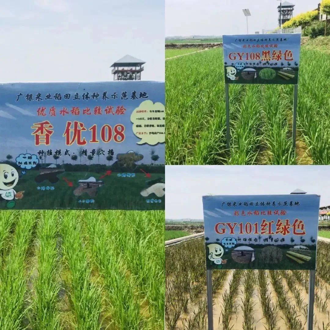 中国用了占世界多少的耕地,我国用占世界百分之几的耕地