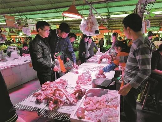 南宁猪肉价格回落至常态水平,2020年2月8日南宁猪肉价格