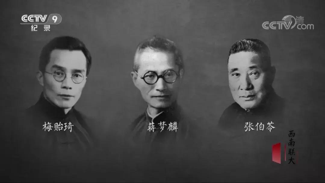 央视又出9.3分神作，读书才是门槛最低的高贵