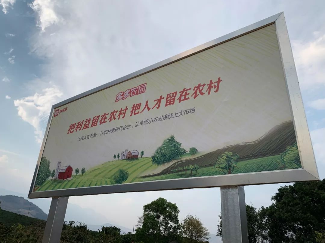 拯救瑞幸,拯救瑞幸的咖啡