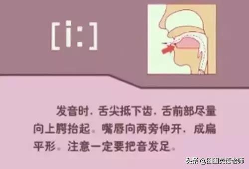 基础英语48个国际音标详解，赶紧来学习！