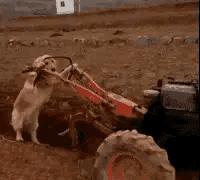 漂亮的人怎样都好看,漂亮的姑娘帅不帅