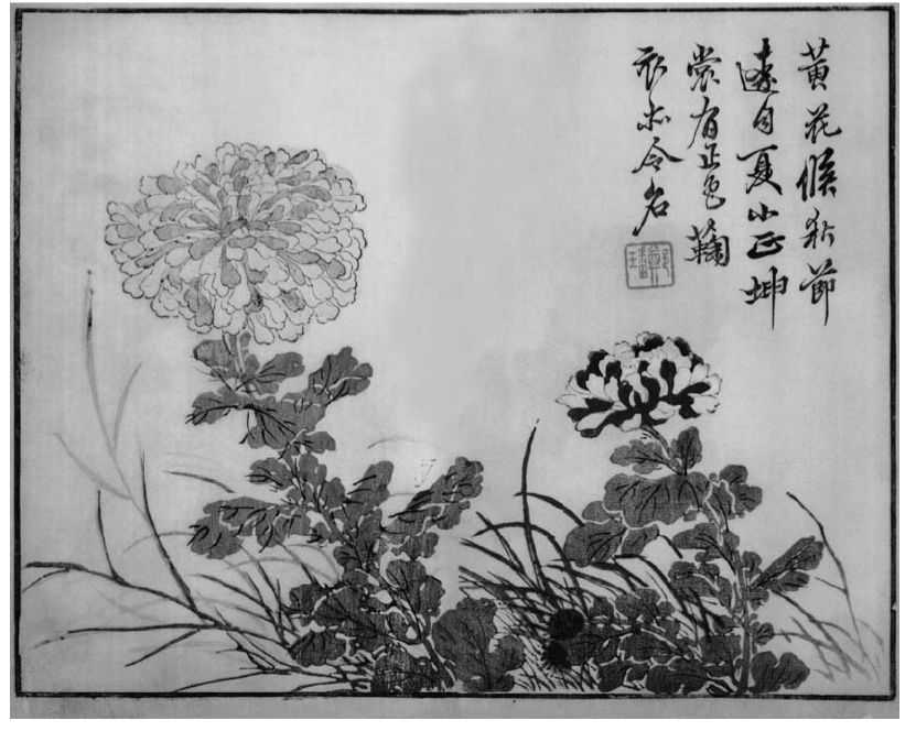 国画菊花的简单画法步骤图片,国画入门零基础自学画菊花