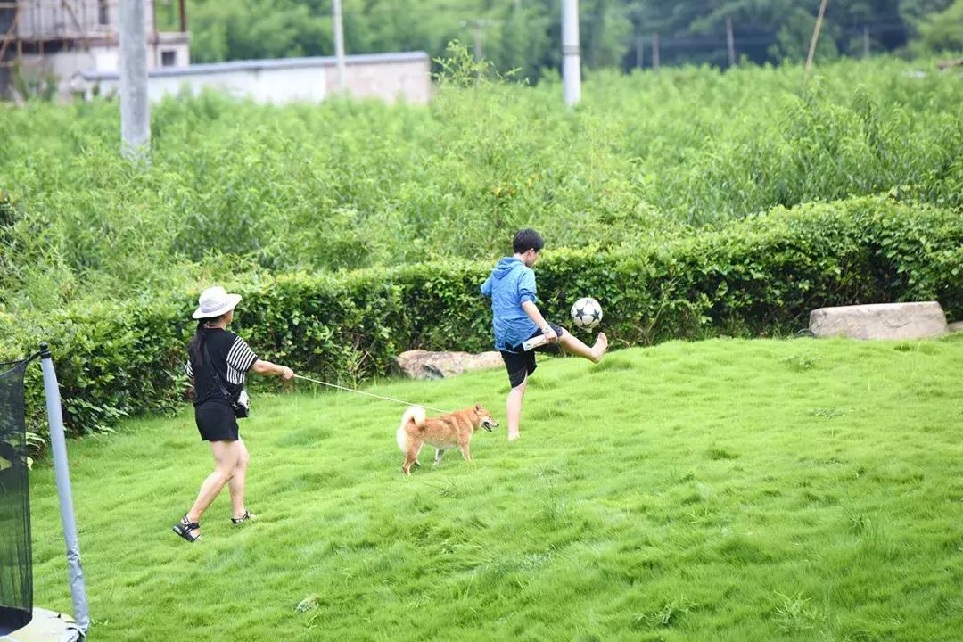 2019年莫干山民宿榜单大揭秘，你想睡的都在这里了