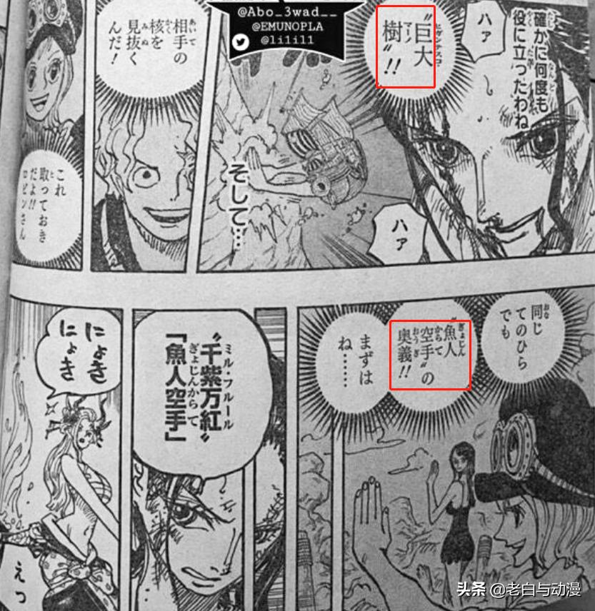 漫画海贼王罗宾变为恶魔之子,海贼王罗宾恶魔之子形态