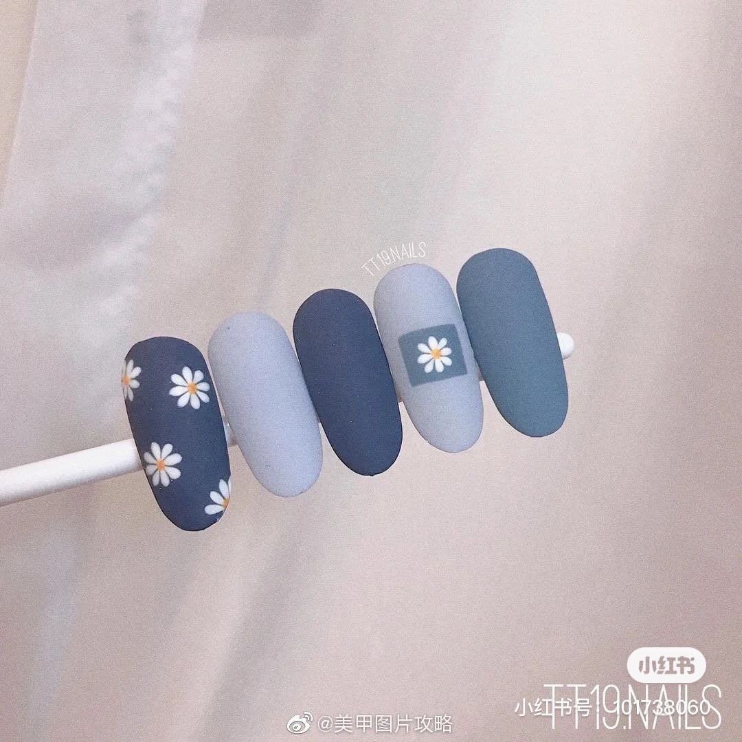 小雏菊带香味,小雏菊花果香