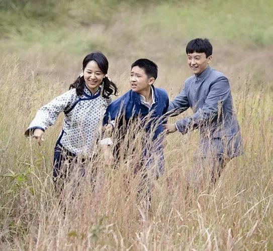 国内高分电视剧推荐,十大高分最经典国内电视剧