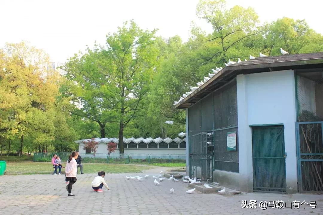 马鞍山特别大的动物园,马鞍山野生动物世界