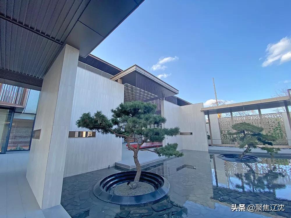 沈河七中能排第几,沈河七中总校怎么样