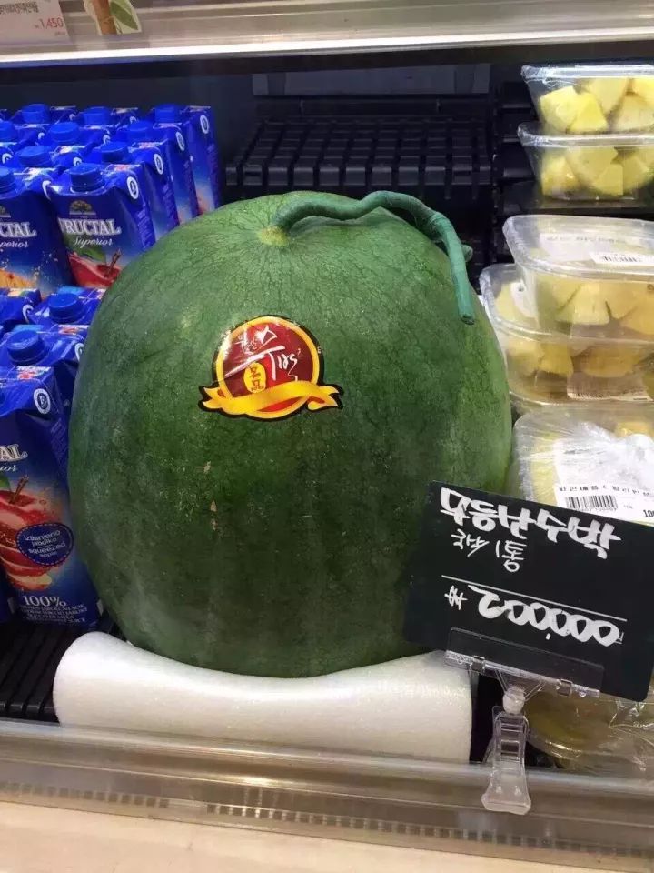 韩国同事爱上中国美食,韩国同事第一次吃中国食物