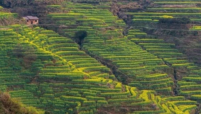 婺源旅游全攻略自由行,婺源旅游攻略一日游自由行